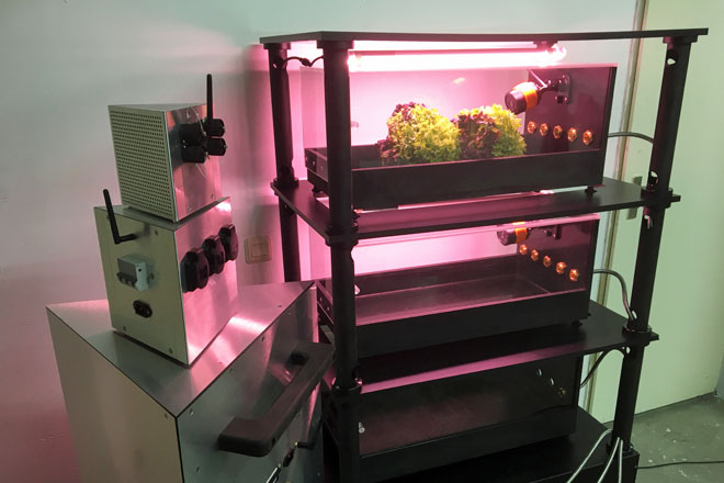 FileMaker Platform is ideal match for startups - Preview Image